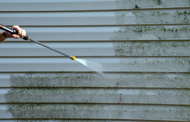 Professional Pressure Washing Services in Hollymead, VA